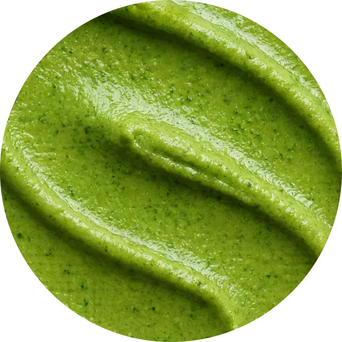 Mint cilantro chutney